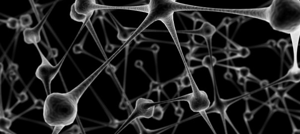 Looks like doing nothing